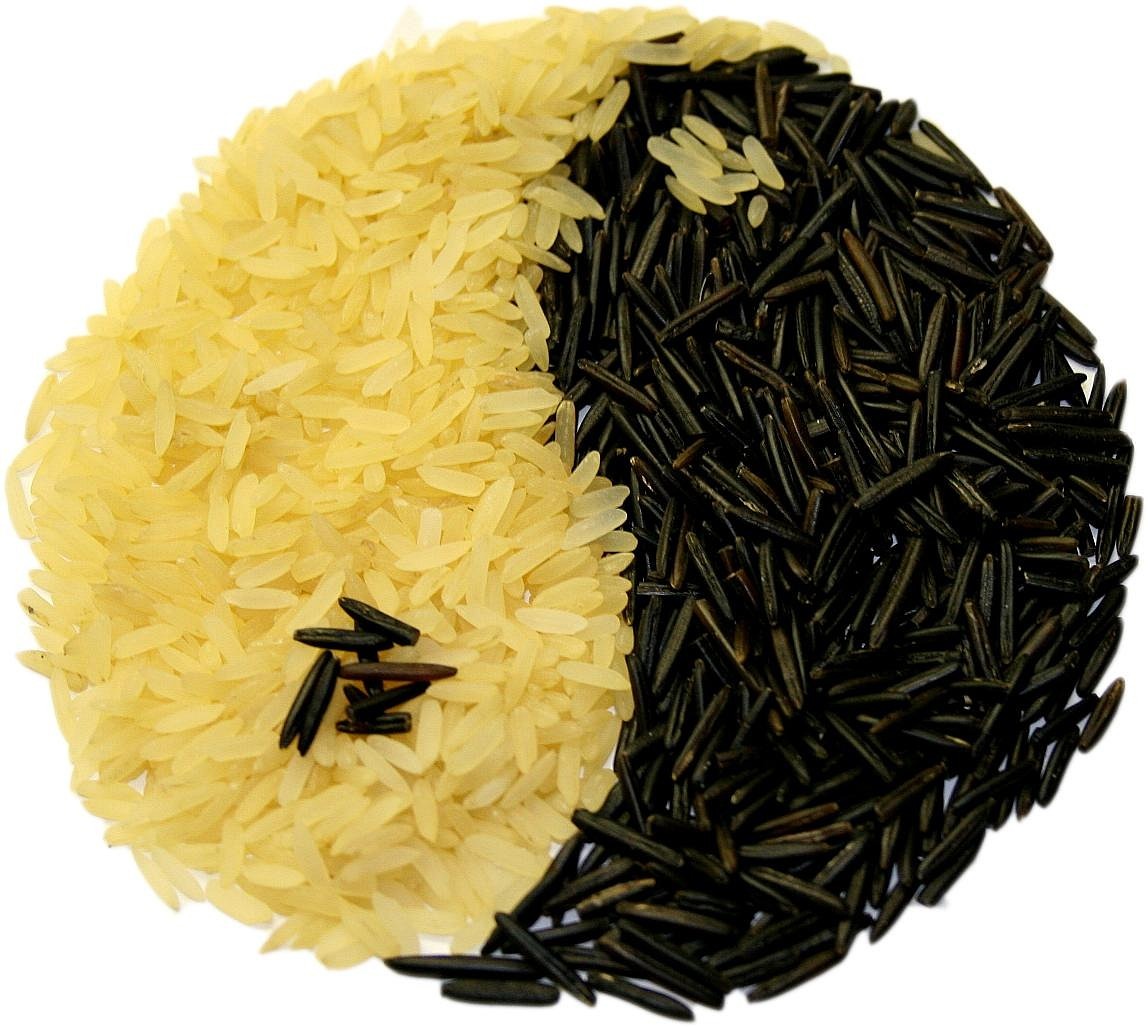 稻米产业的盈利秘诀，探索大米的挣钱之道