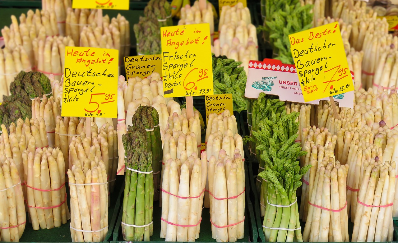 镍饼市场最新报价及深度分析