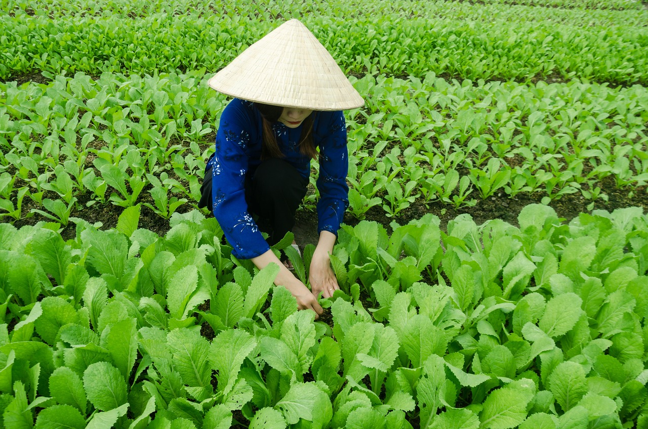 海宁下沙，繁荣与发展前沿的最新动态